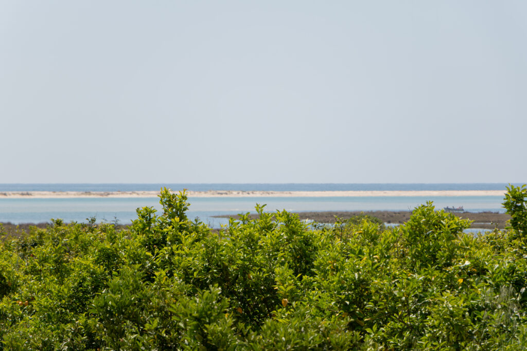 Vista_Arco da Barra-63